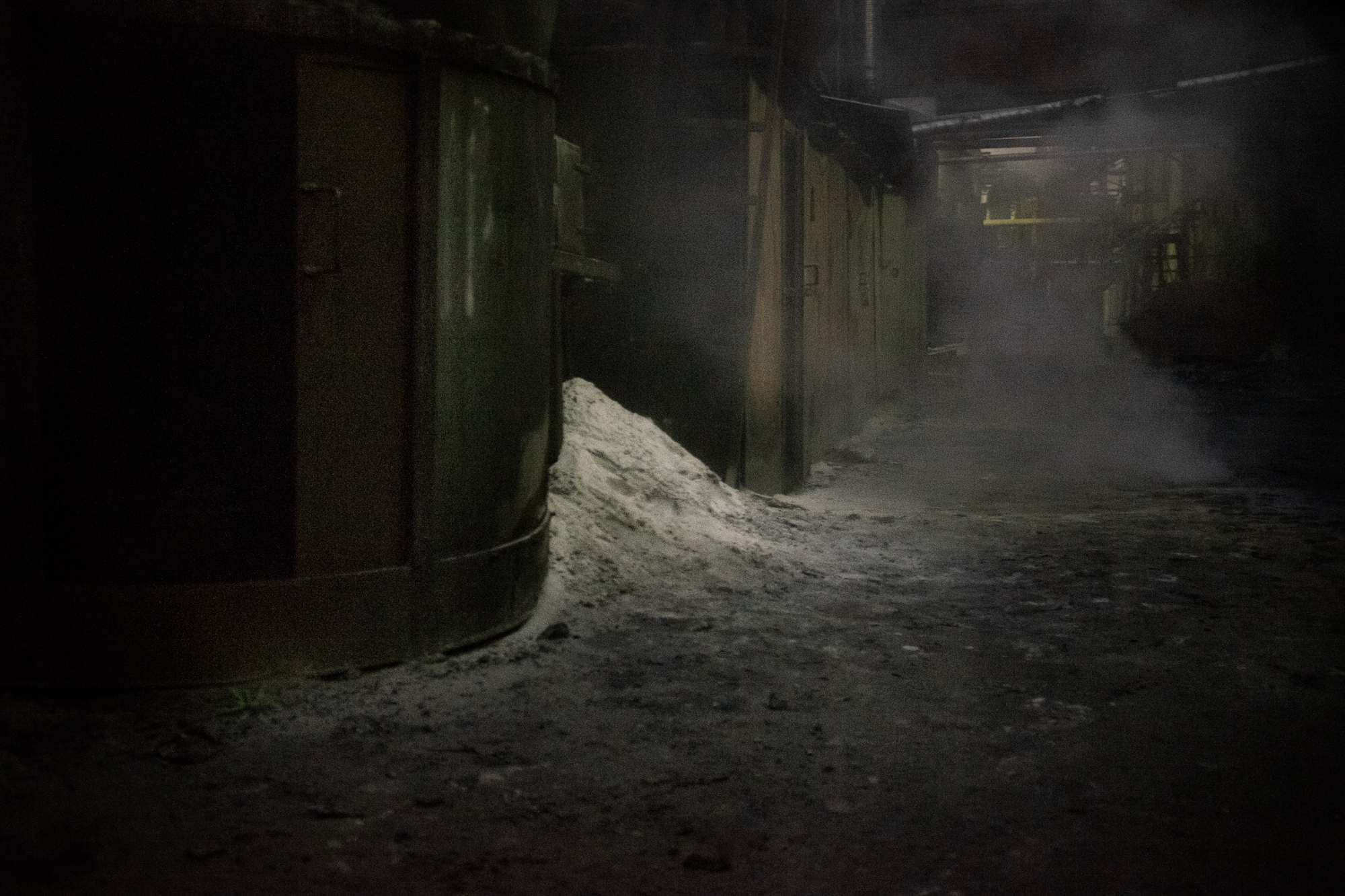 Saint Petersburg, 2017