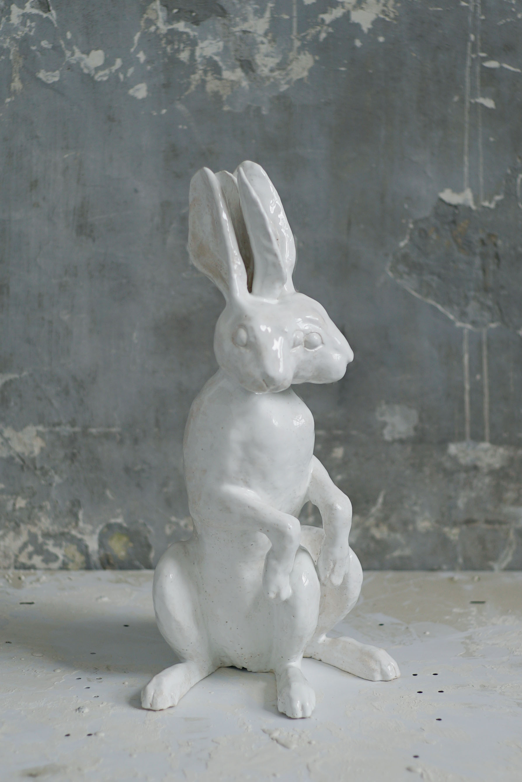 Hare, 2016