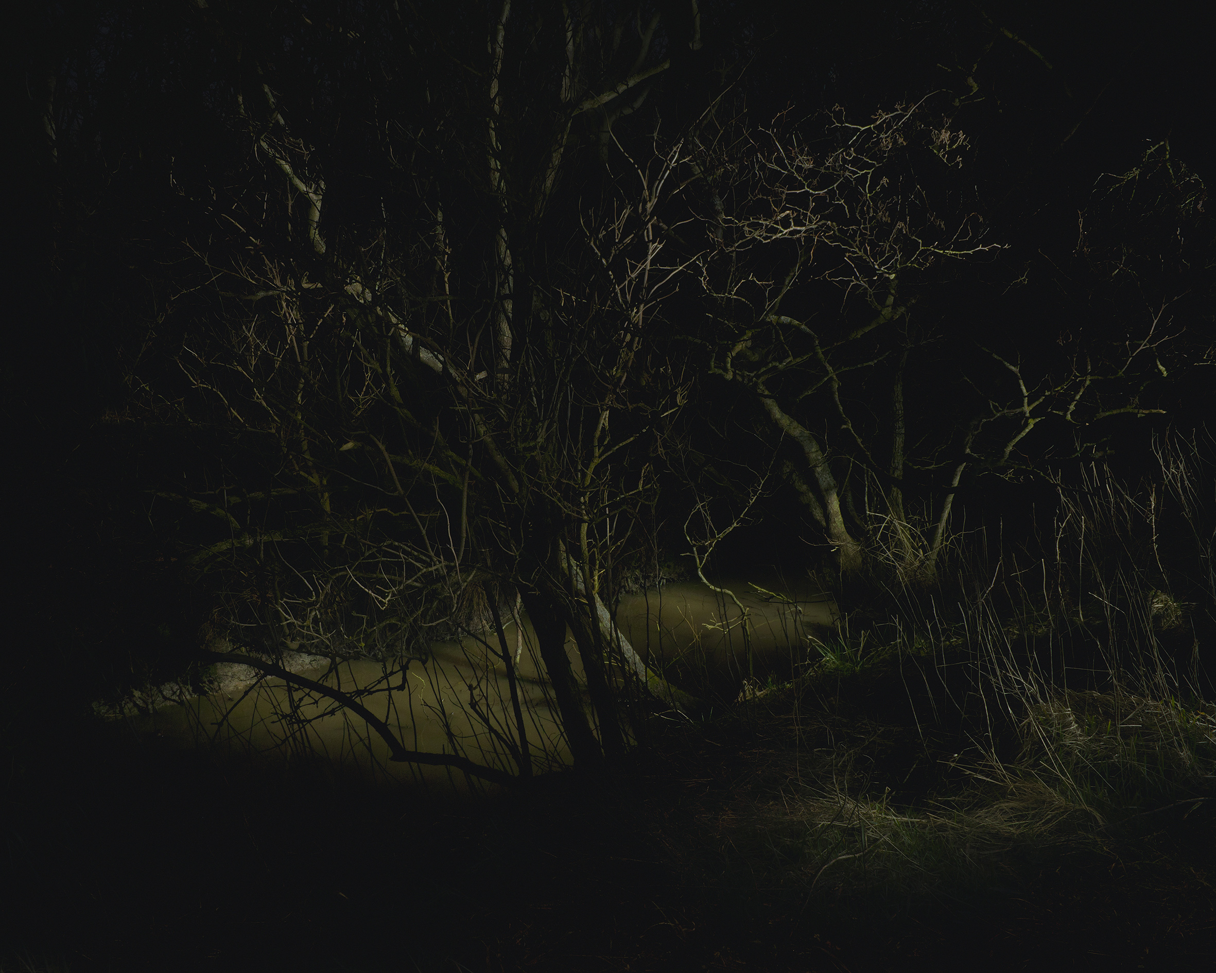 In her 2016 series InselWesen (Island-being), Teshaieva immerses herself in the life of the North Frisian island Föhr