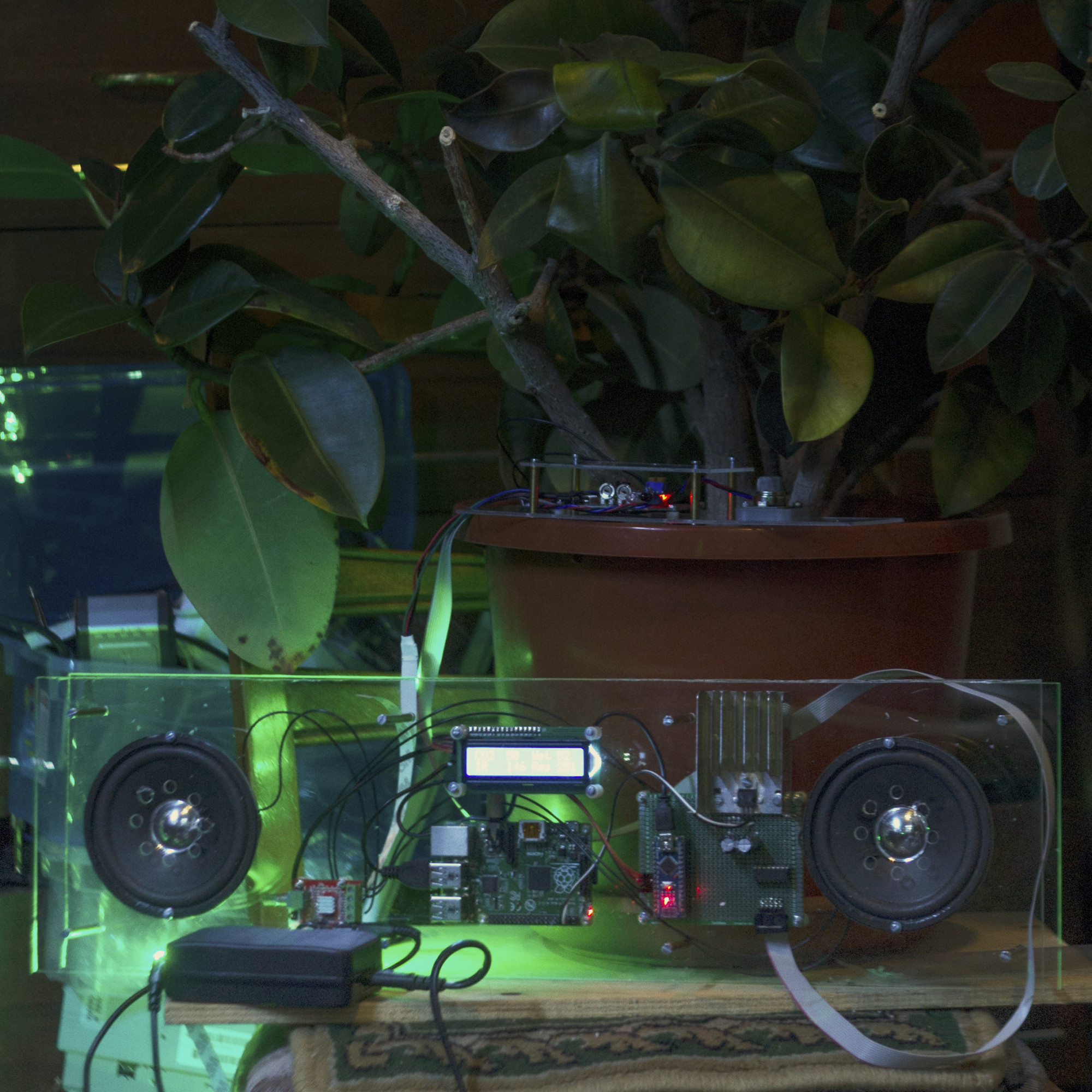 Dendrophone, 2016, Ars Electronica / Polytech Moscow. In this interactive multimedia installation, Kolosov explored the possibility of communication with plants 