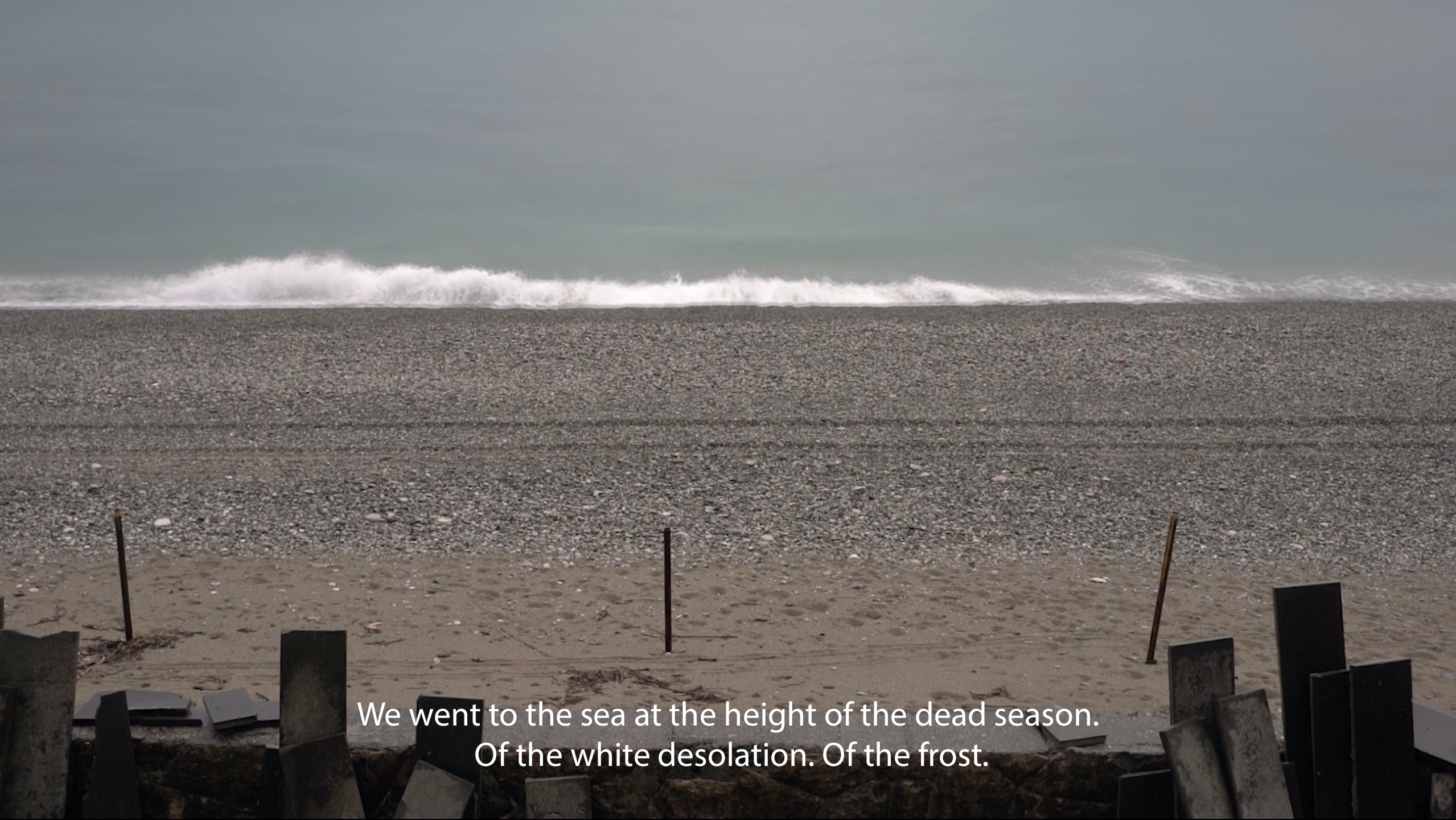 What Kind of Life Can We Observe from a Car Window, 2019. Still from the video essay