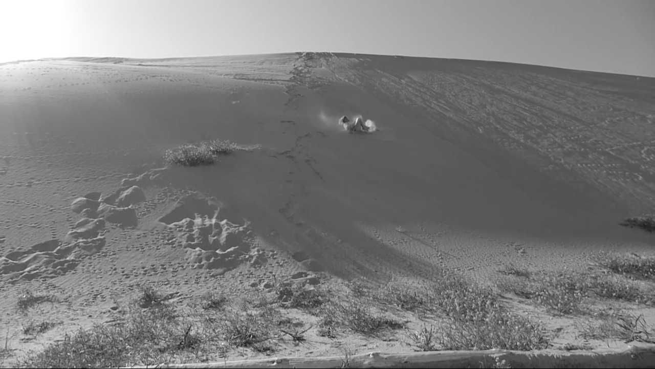 Head over Heels, 2015. A woman throws herself from a sand dune as Jerzy Petersburski’s song To Ostatnia Niedziela (Wearied Sun in Russian), known as “tango for suicides,” plays