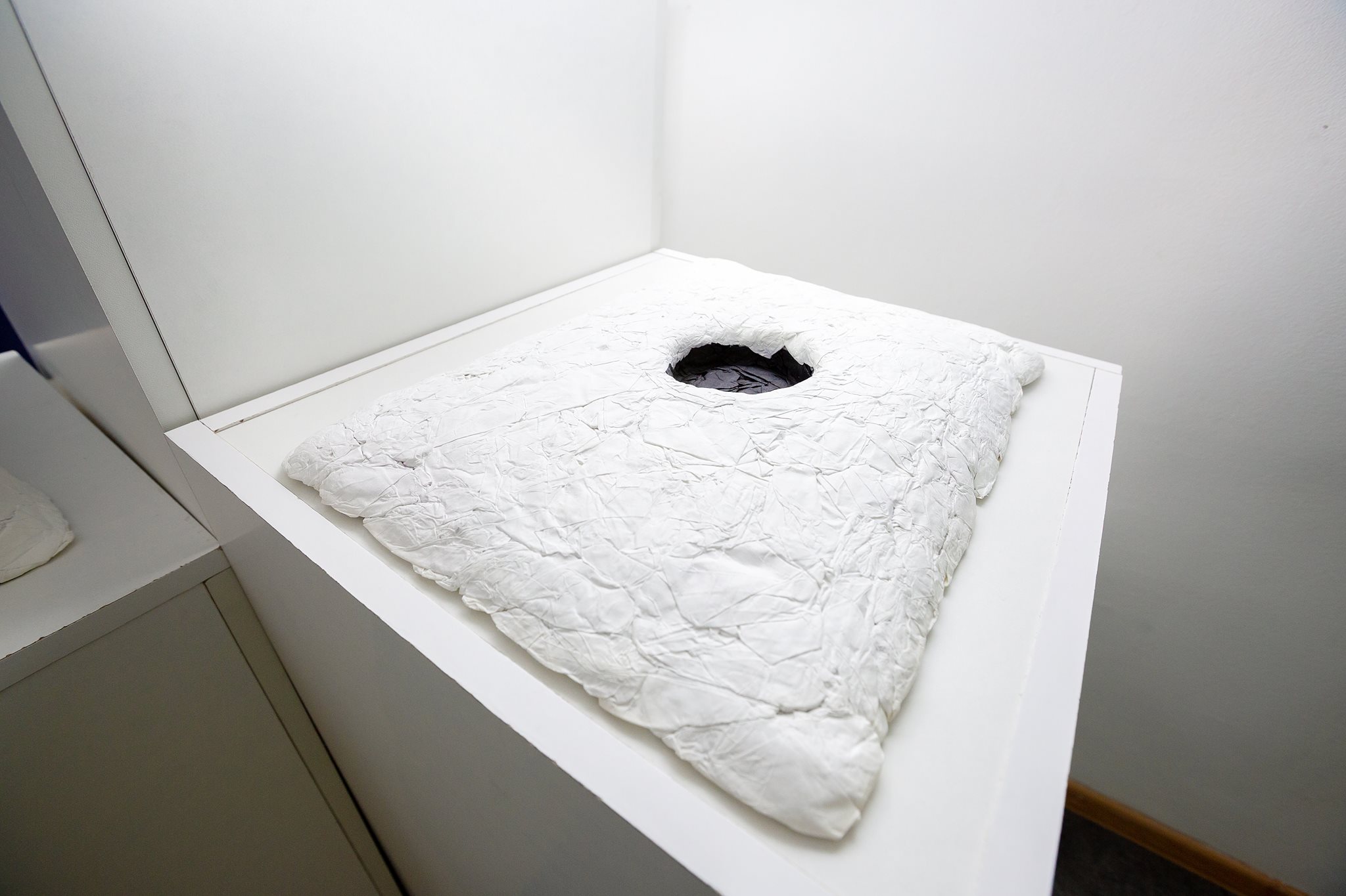Snowiness, 2018. Solo exhibition at the 25Kadr Gallery, Moscow