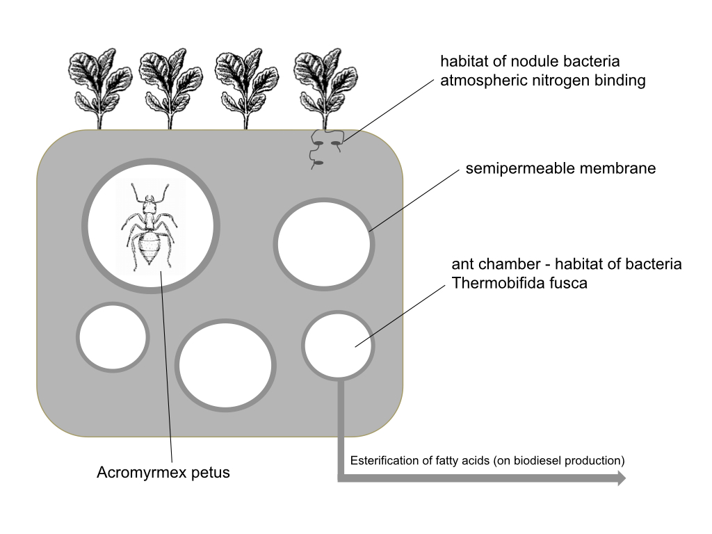 Plastifique Biofarm, 2015