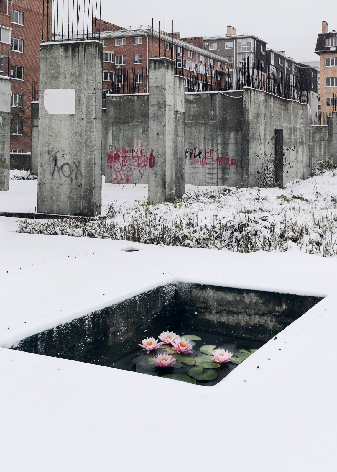 Garden. From the Bachikistan project, 2018-2020