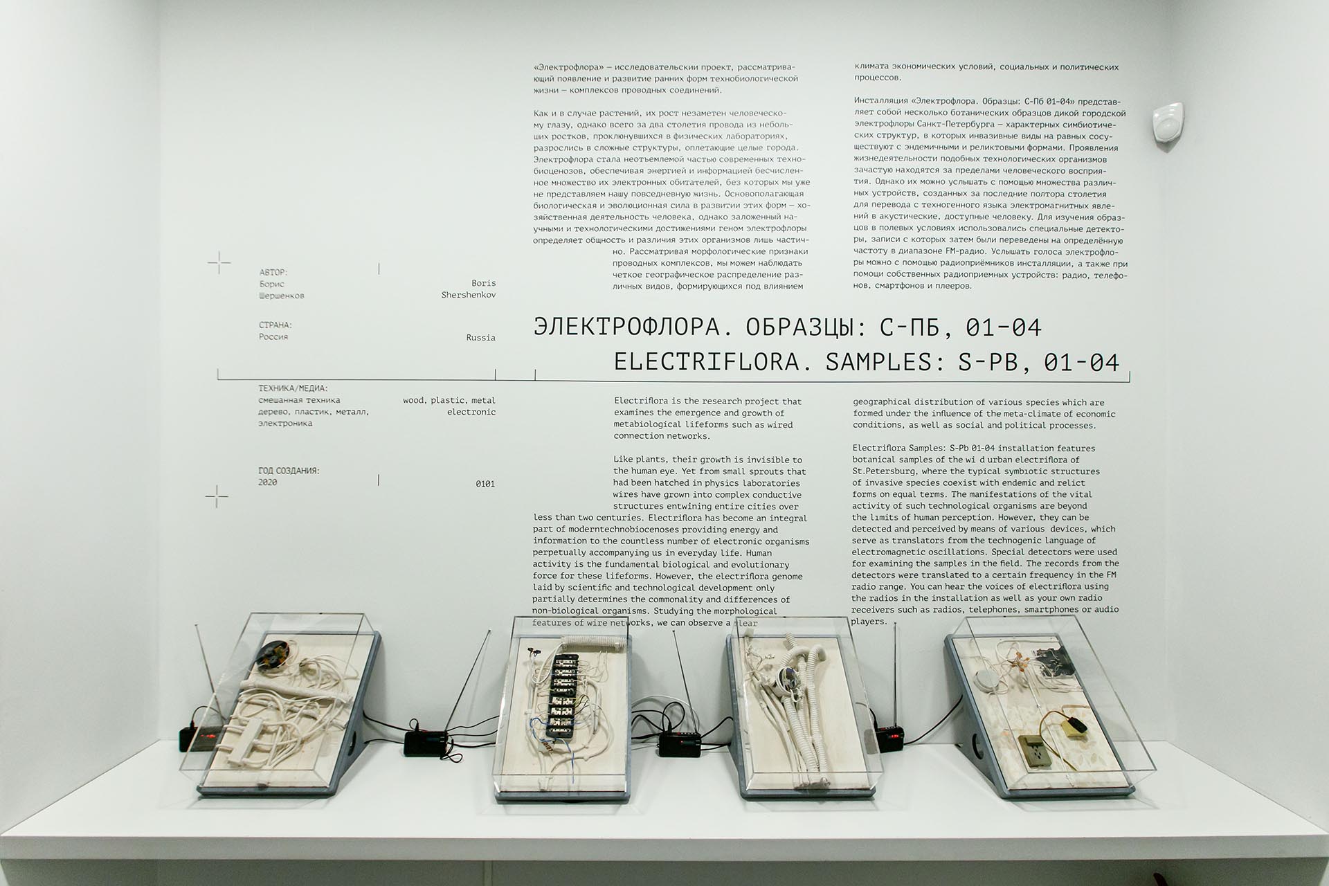 Electriflora Samples, 2021. This multidisciplinary project examines the emergence and growth of metabiological lifeforms of wired connections complexes. Photo: Ivan Novikov-Dvinskiy