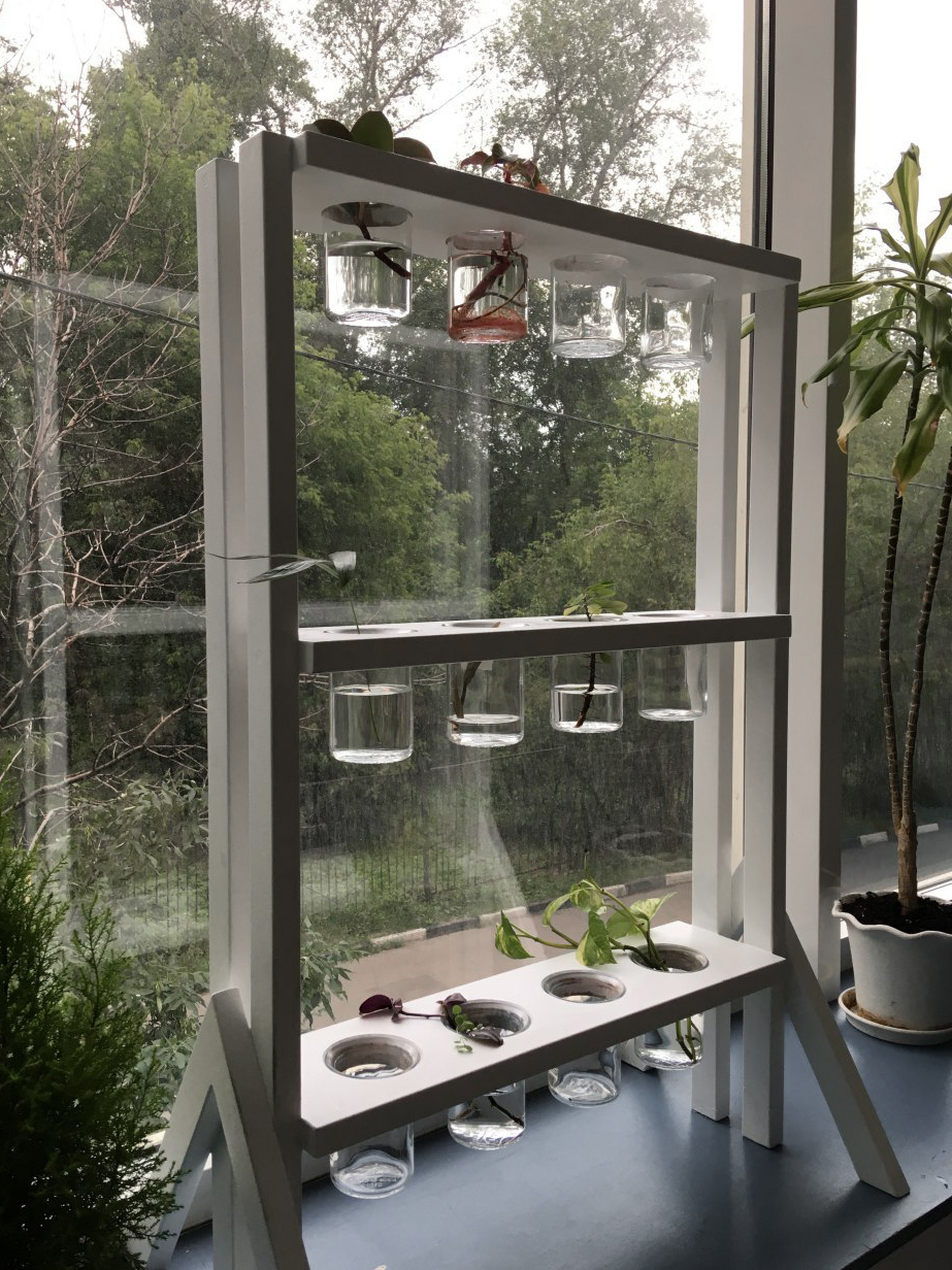 Grower Lab, 2018. Plants can communicate with each other through electric “action signals”
