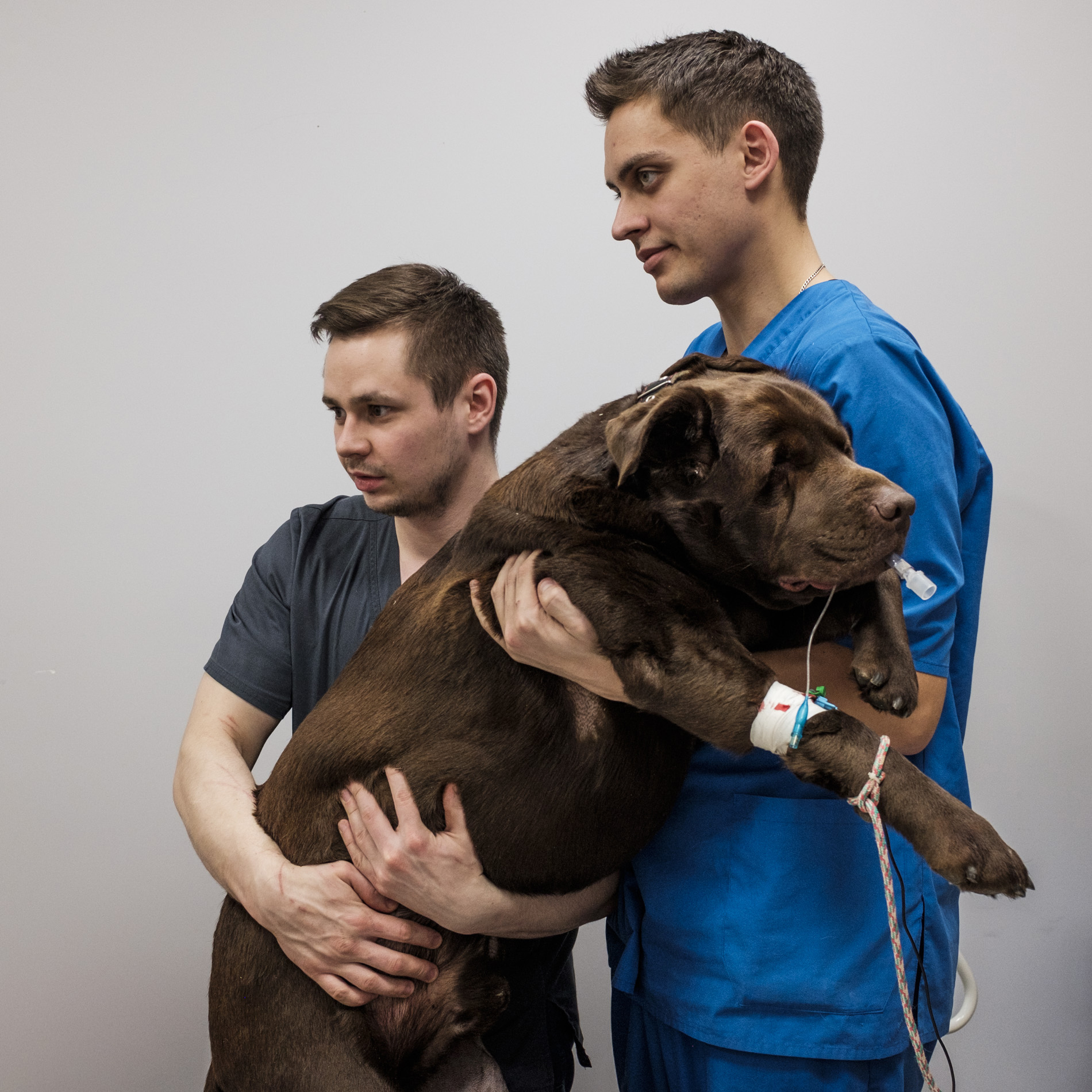 Animal Fear, 2017. In this project, she revisits her past and documents the routine of one of her classmates who has become a vet 