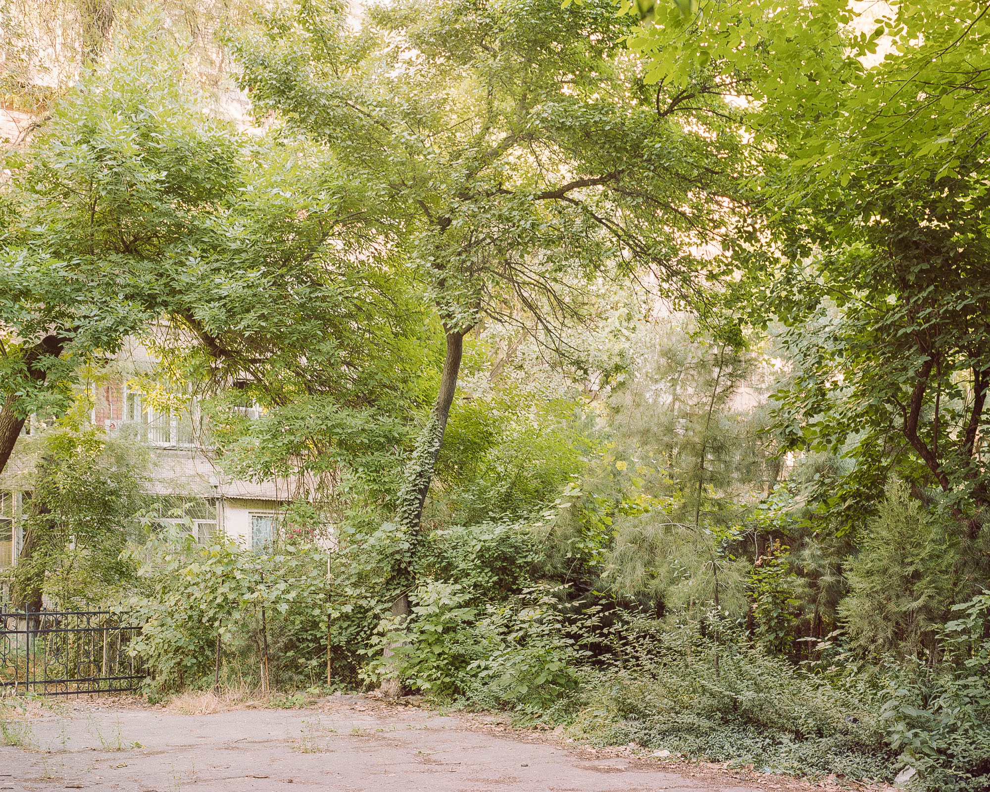 Arcadia, 2016-2018. Arcadia is an attempt to explore the collective experience formed by social conditions and nature