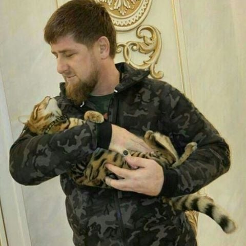 Chechen leader Ramzan Kadyrov in lost cat Instagram plea