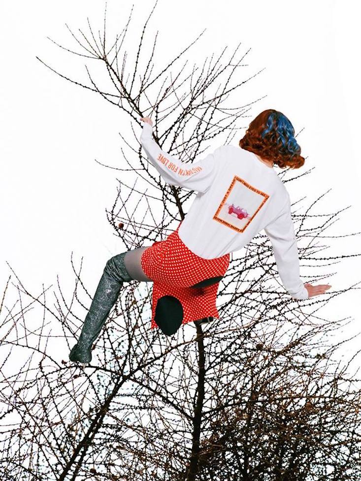 (Image: Synchrodogs / Facebook)