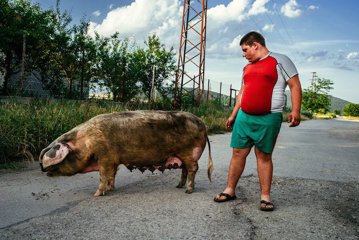 Vladimir Vasilev,, Bulgaria, T(h)races
