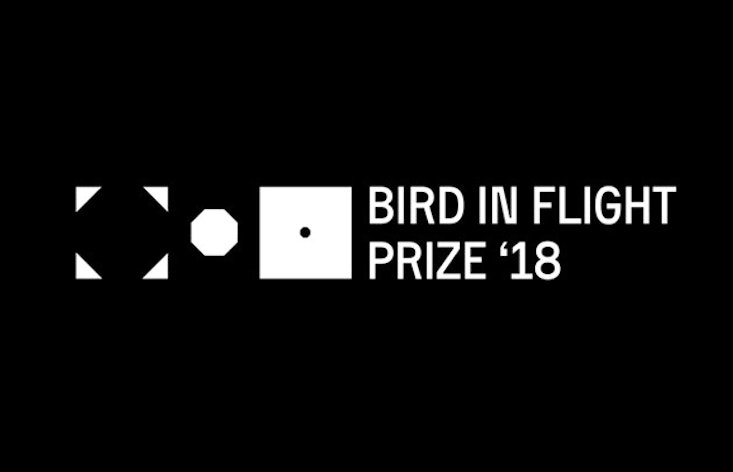 Embrace creative freedom with this year’s Bird in Flight Prize