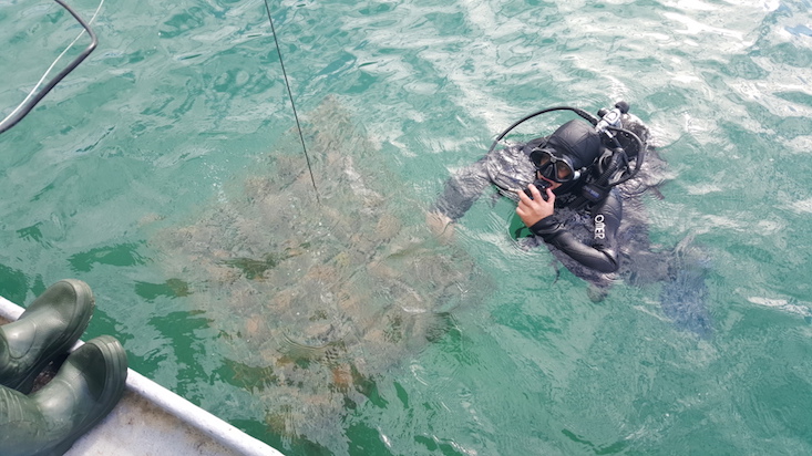 Dive into Croatia’s underwater winery