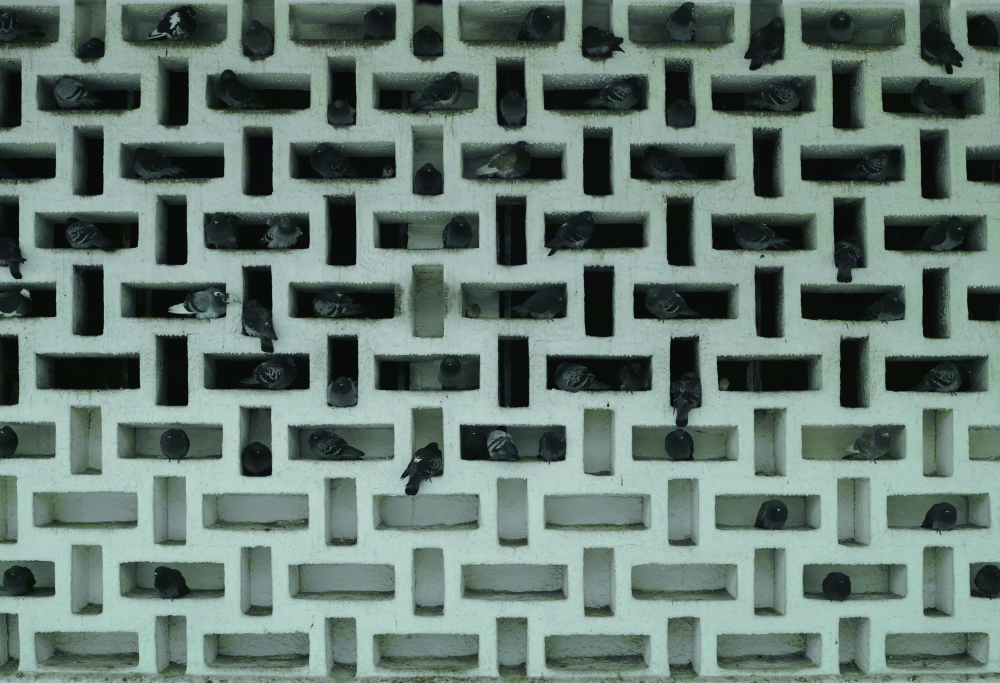 Compossibilities, 2013