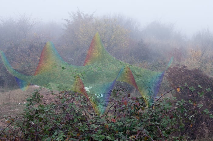 Young photographers exhibition goes on show in St Petersburg