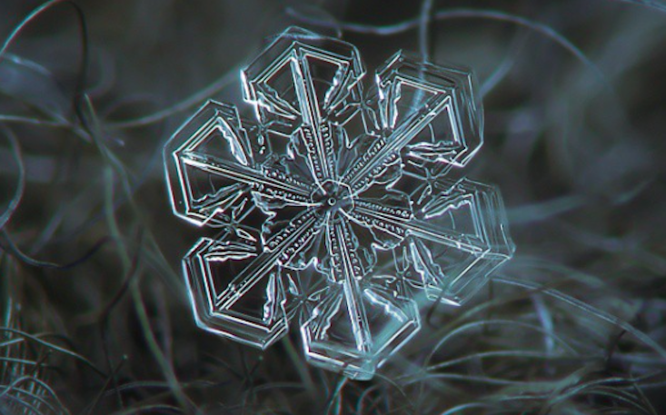Crystal close-ups: discover Russia's top snowflake photographer