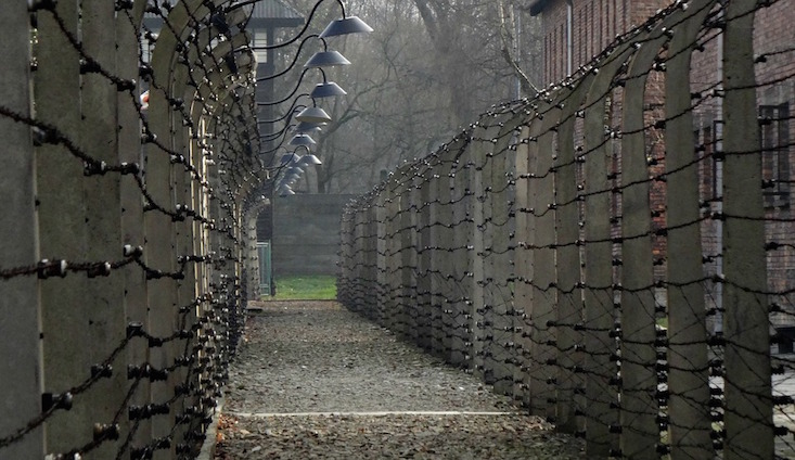 Poland publishes first Auschwitz staff database