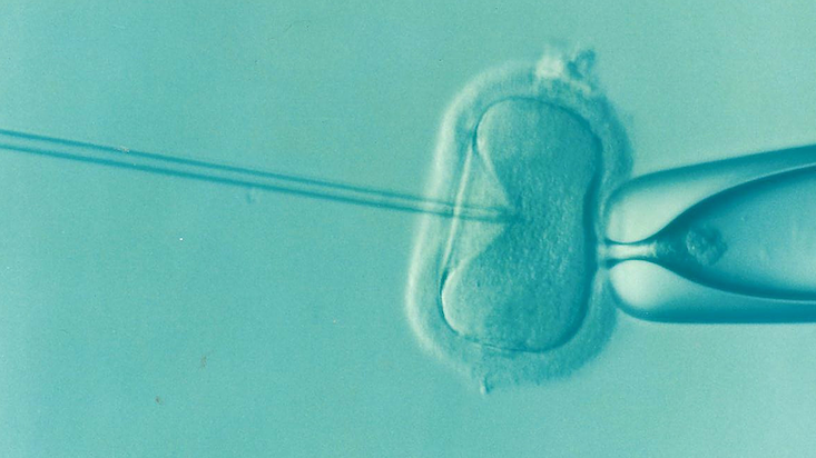 World first as baby born using new “three-person IVF” in Kiev