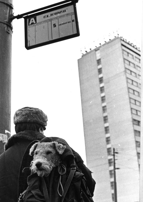 Going hunting (1960). Photograph: Yuri Krivonosov