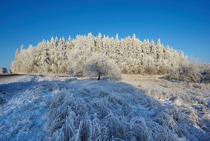 Estonia to grow taller in a single day