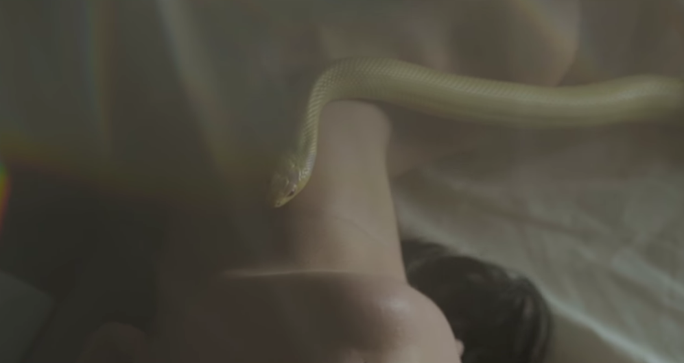Premiere: Siberian band The Jack Wood mix desire and danger in new video