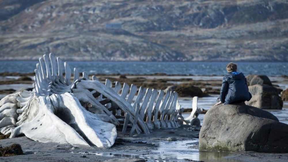 Zvyagintsev's Leviathan shortlisted for Oscar