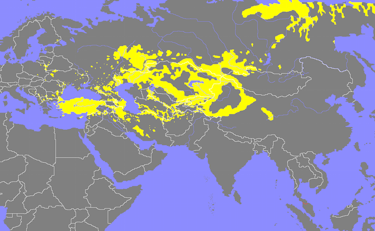 Turkic languages dictionary of common terms under way