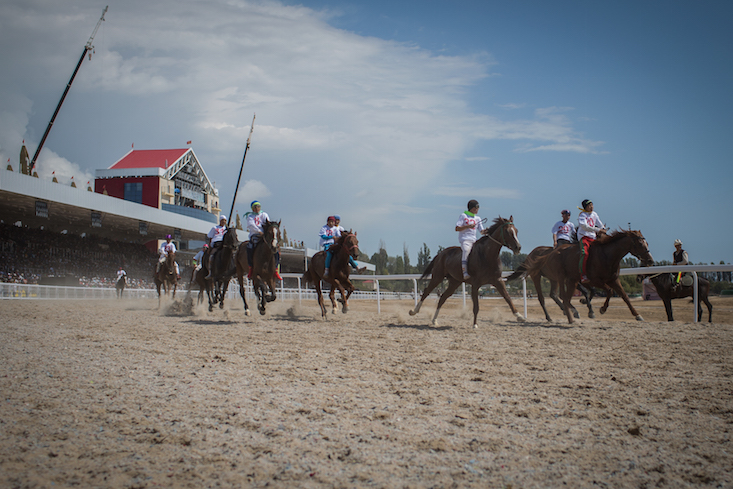 2200m horse race (Image: Paul Toetzke)