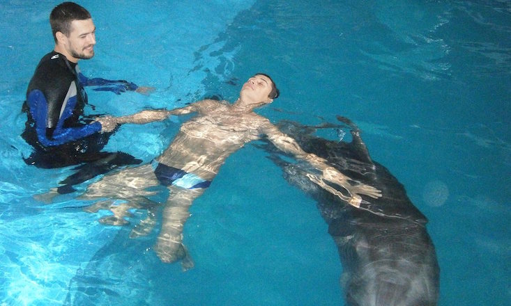 Meet the dolphins helping to treat PTSD in Ukraine
