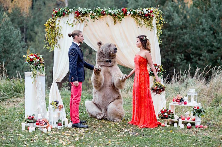 Did a bear really officiate a Russian wedding?