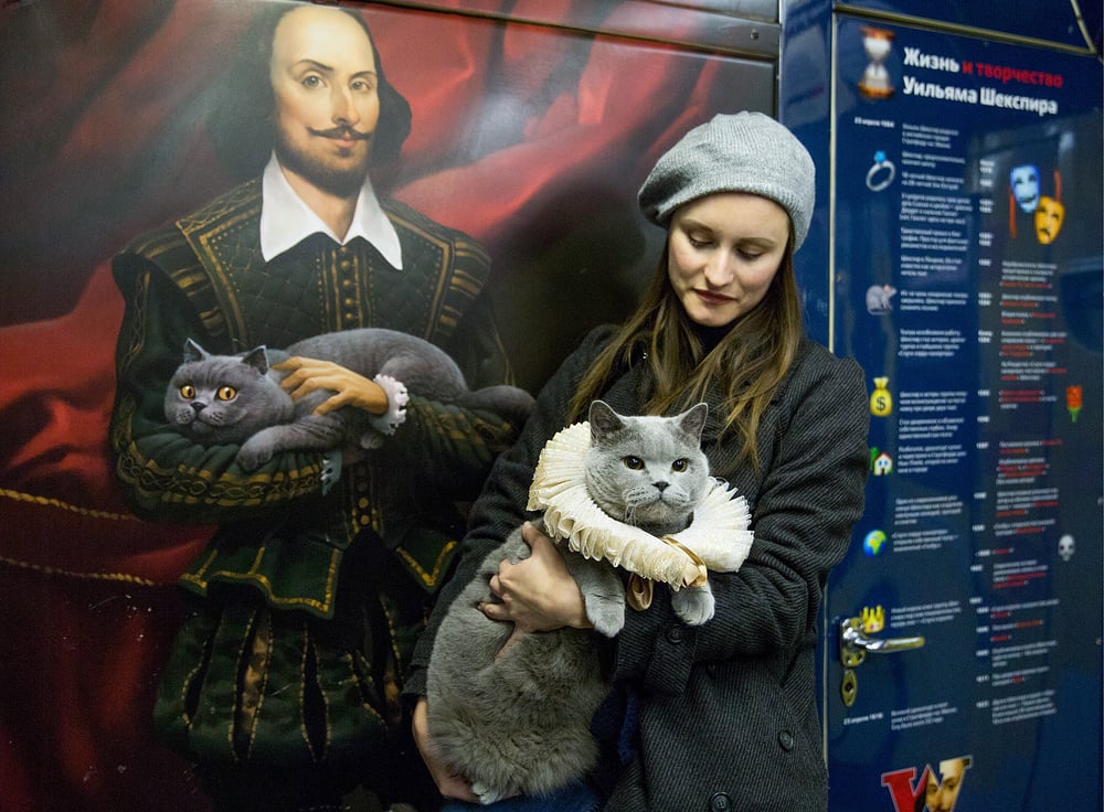 Moscow metro's special feline guest. Image: TASS / Valeriy Belobeev