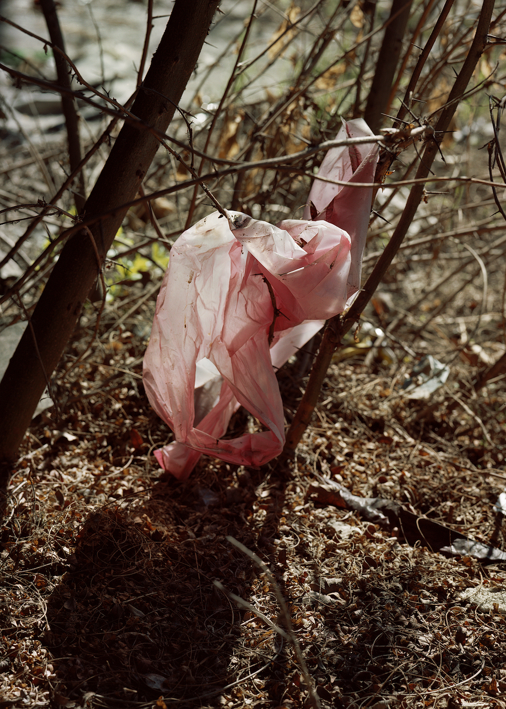 Photo of the week: Bulgarian photographer Yana Lozeva finds beauty in the disused