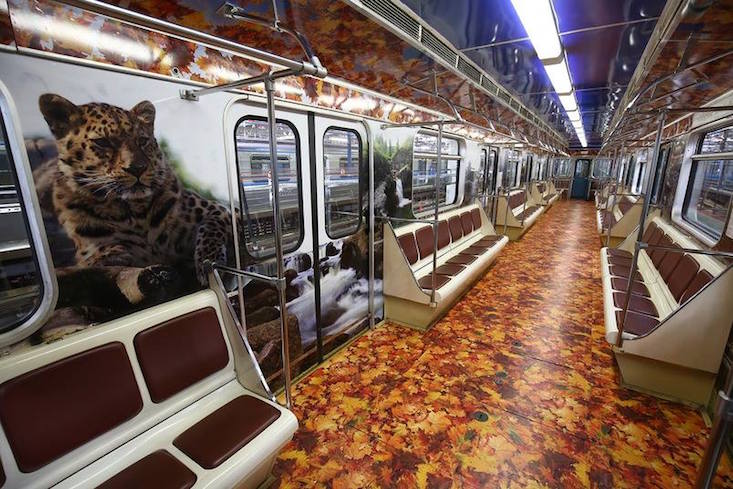 Tigers and leopards raise awareness on Moscow Metro train