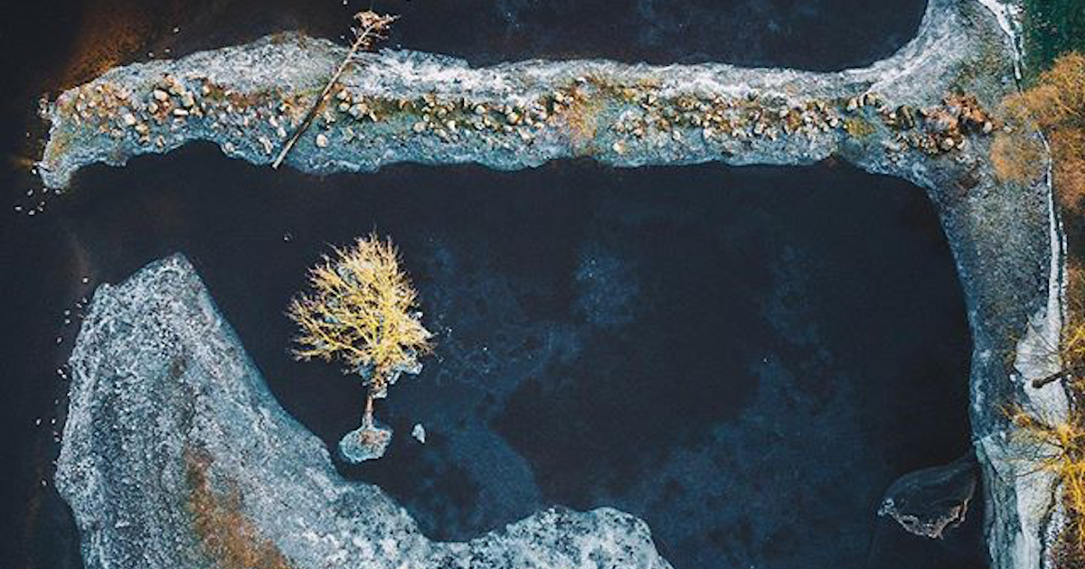 A Hungarian art project is using drones to unlock nature's hidden beauty