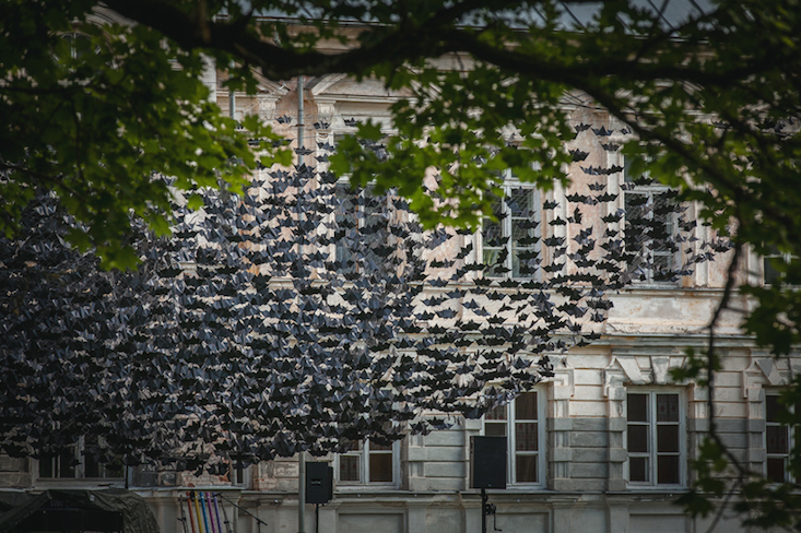 (Image: Uldis Lapins / DJA)