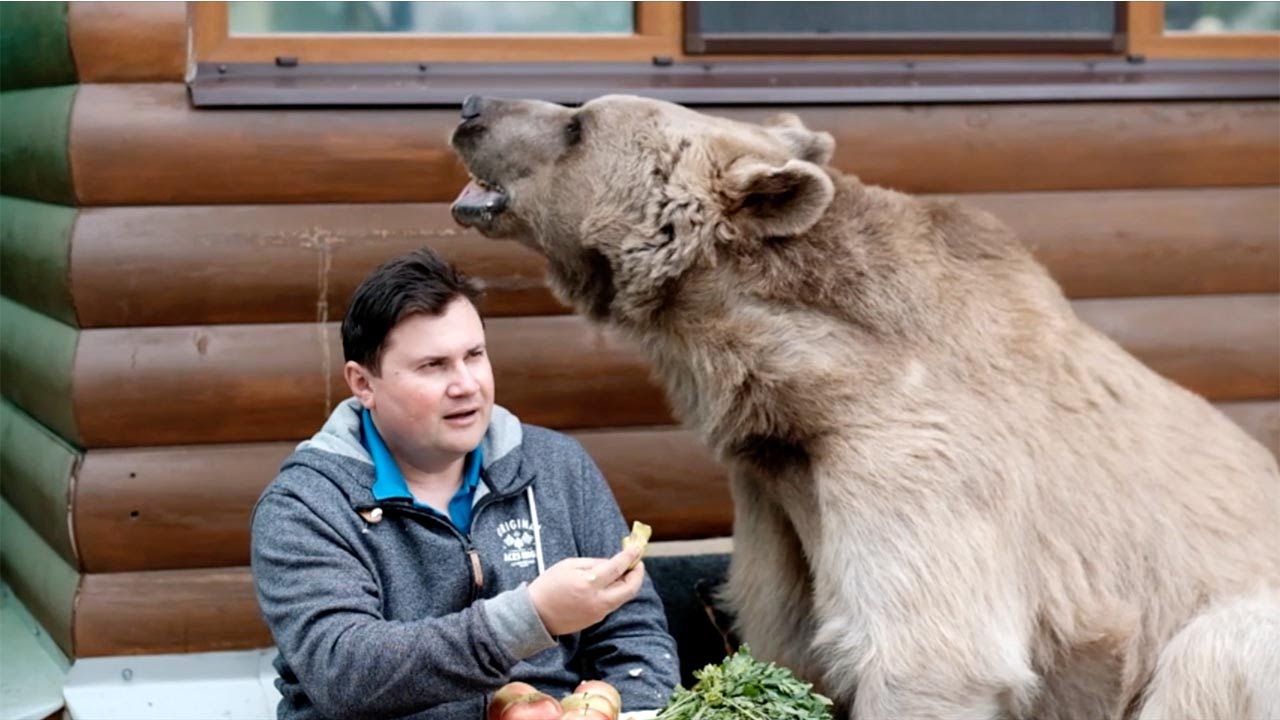 Video: Witness a Russian family with their pet bear