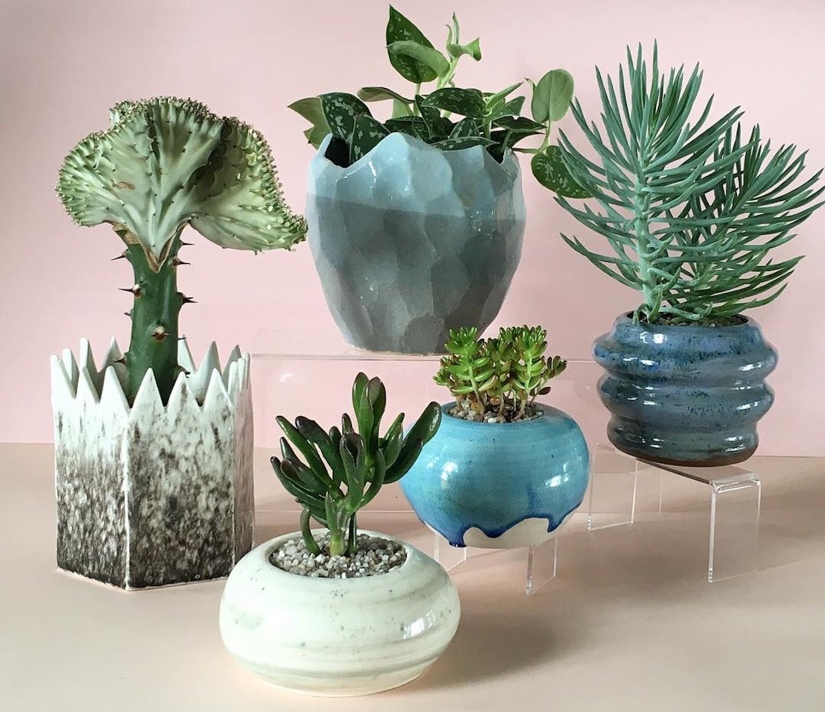 Follow of the week: splendid succulents in handmade pots