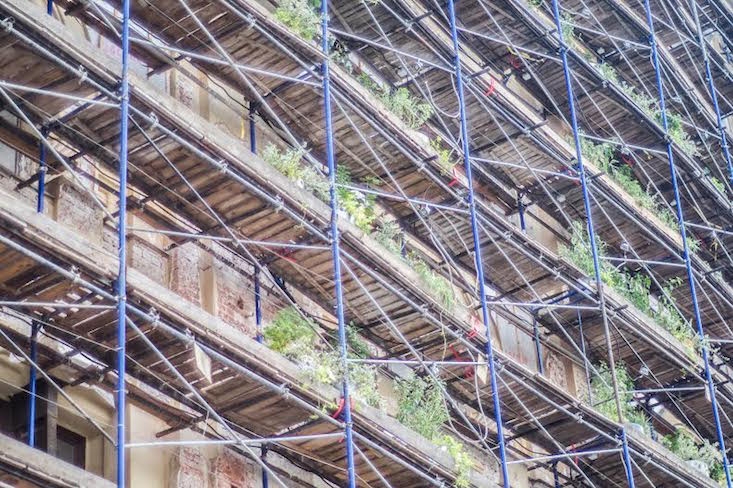 Take a look at this forest on the side of a Moscow museum