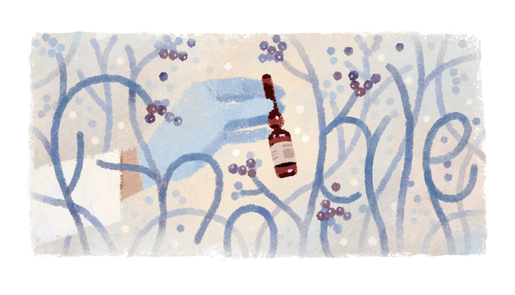 Google Russia honours scientist Zinaida Ermolyeva with doodle