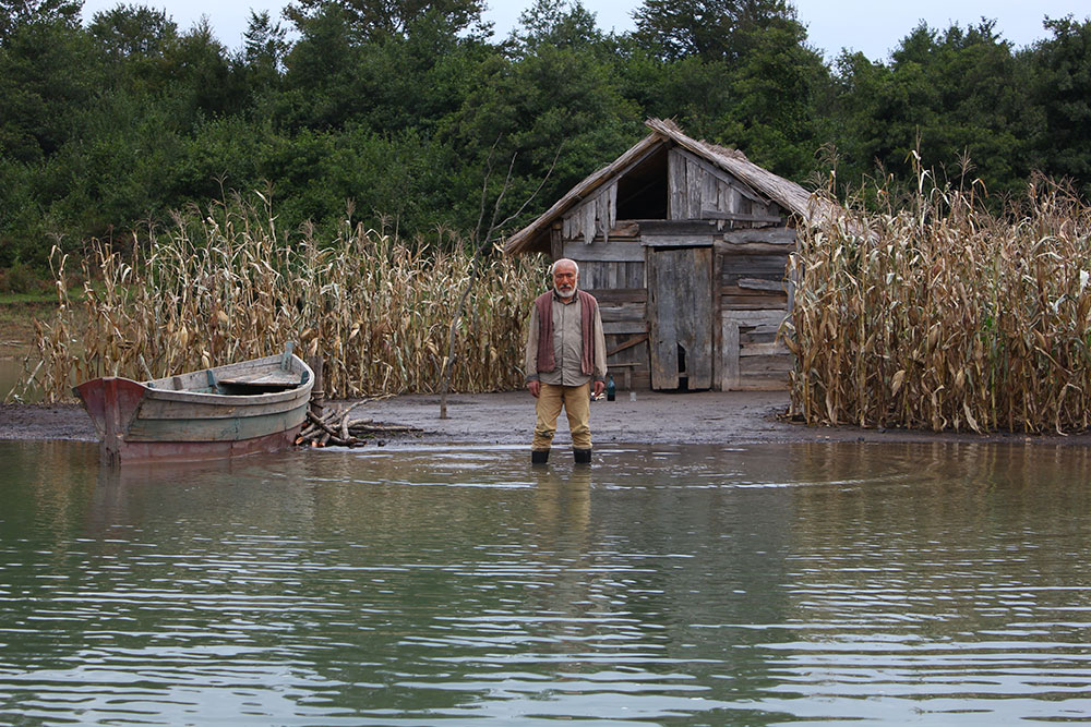 Red carpet: Which eastern European film will win an Oscar this Sunday?