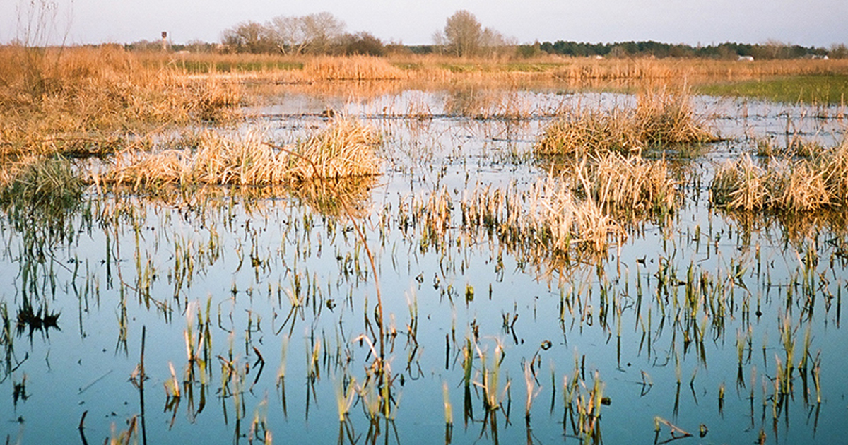 Small town on the river: revisiting a peaceful corner of war-torn eastern Ukraine