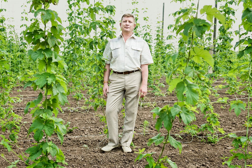 Burnt by the sun: a journey into Chuvashia, Russia's hop-growing heartland