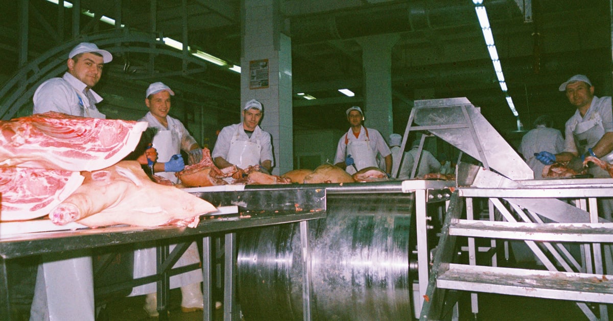 Migrant meatpackers: candid portraits from a Belarusian factory floor