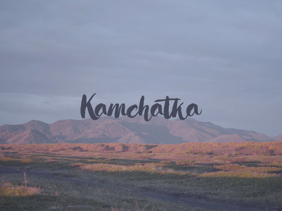 Stranded in Kamchatka during lockdown: follow one photographer’s adventures with her dog