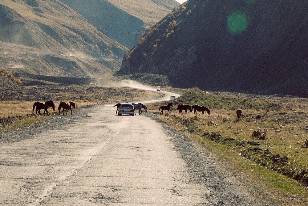 Road trip: follow our inspirational journey through the Caucasus mountains to the top of the world
