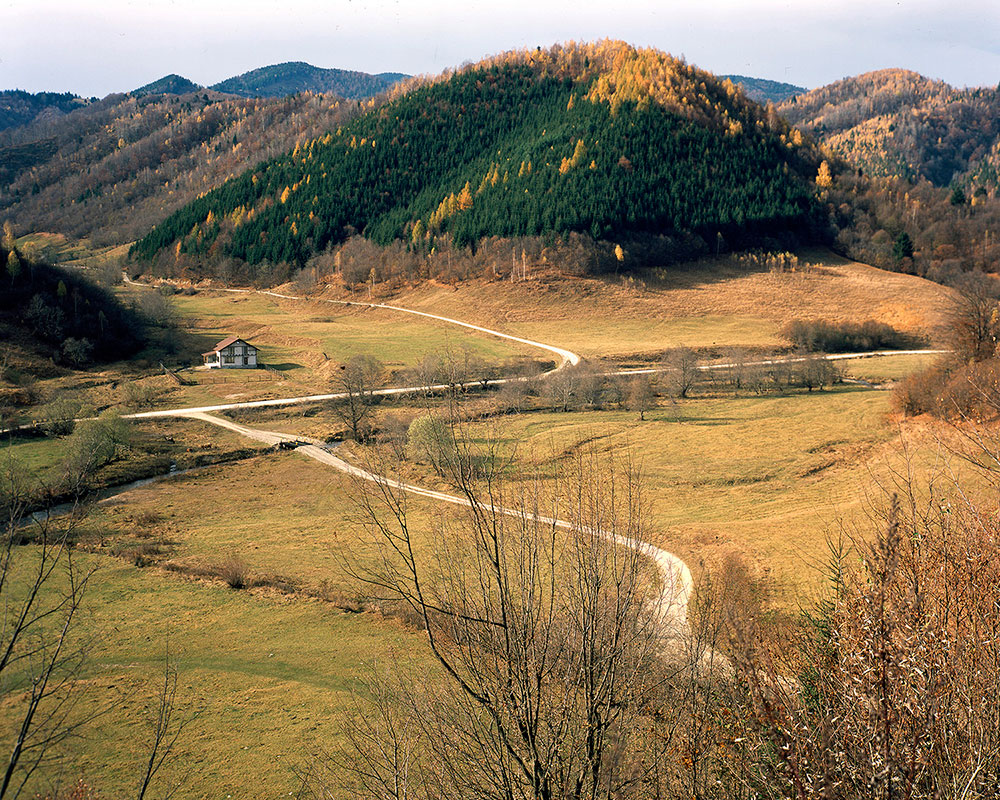 Ziyah Gafić