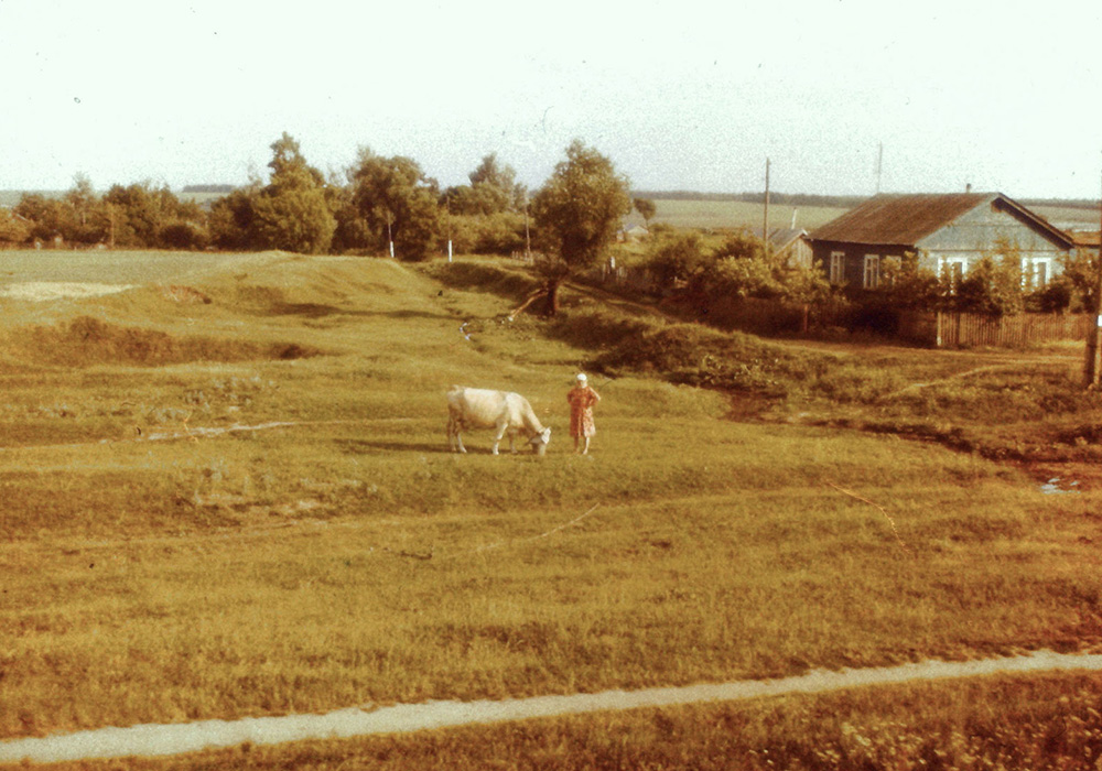 Dacha: an essay on the ‘Russian cottage’ and its place in the country’s imagination