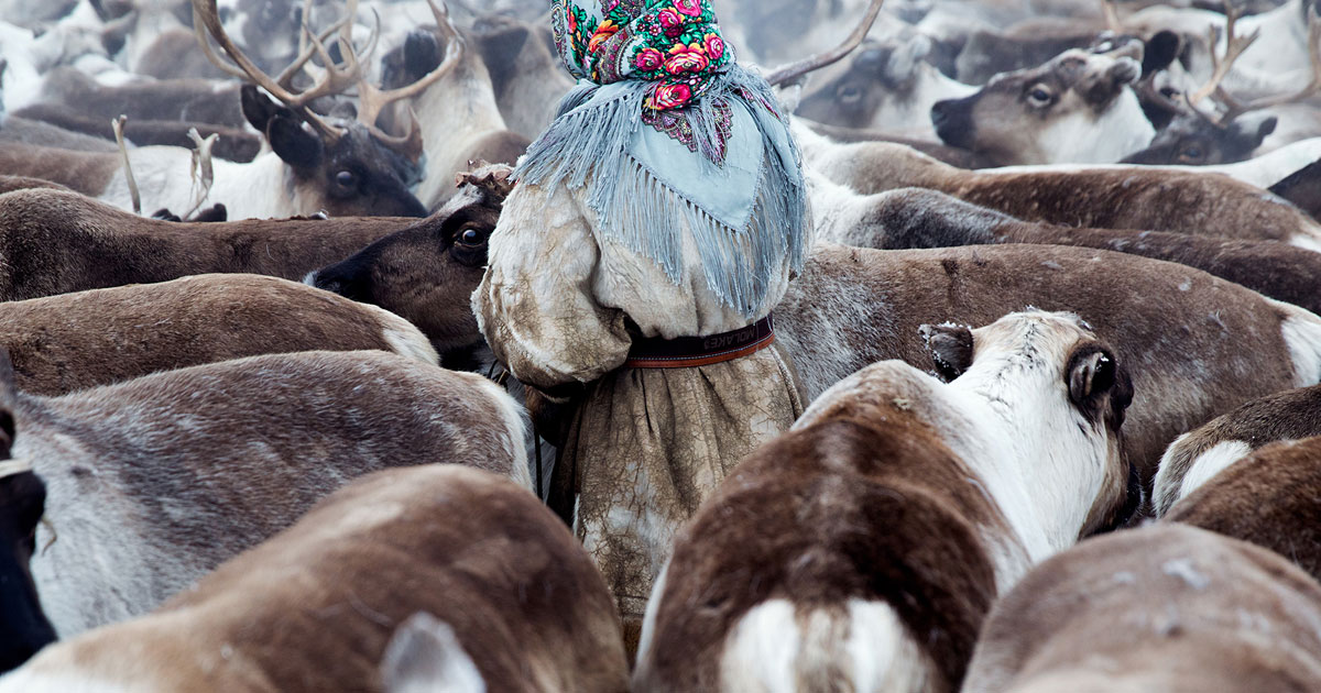 In Siberia's remote reindeer-herding communities, it's a woman's world 