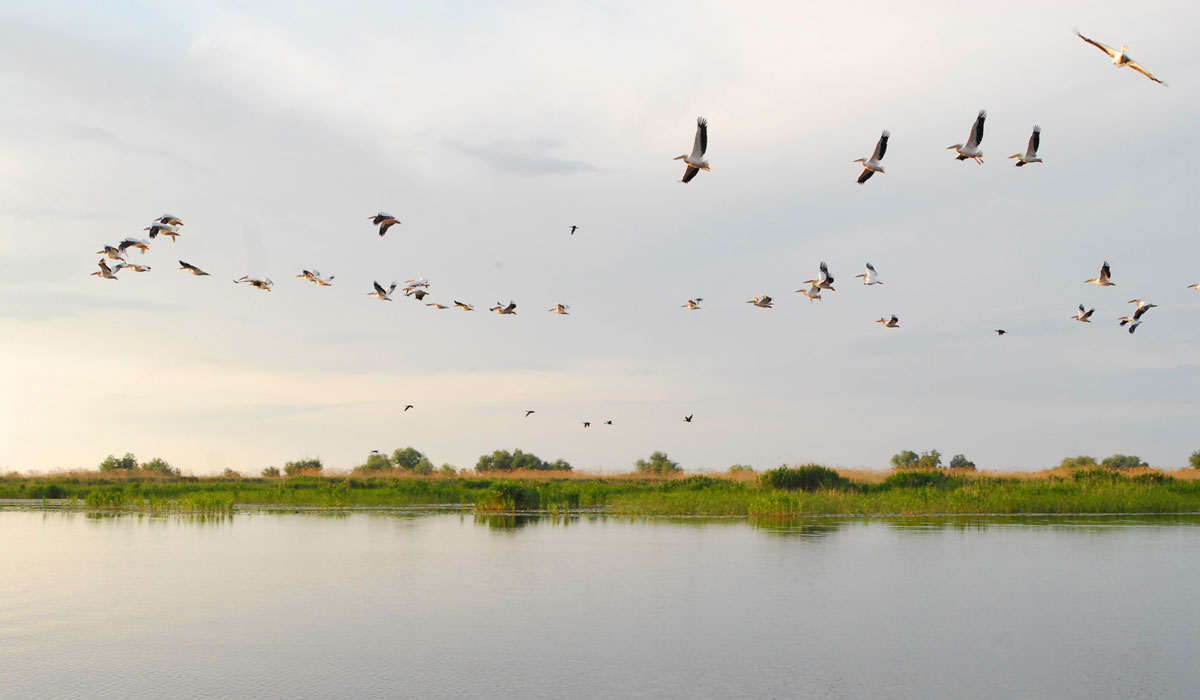 Letter from the Danube Delta: discover the waterways and villages of Romania’s remotest corner